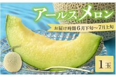 【先行予約】【青肉】アールスメロン 1玉（約1.6kg以上）青肉品種 高級メロン！ ／ マスクメロン 大玉 果物 フルーツ 夏 ギフト 農家直送 ※2026年6月下旬以降順次発送予定 [aw065-a001]