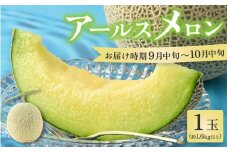 【先行予約】秋 アールスメロン 1玉（約1.6kg以上）青肉品種 高級メロン！ ／ マスクメロン 大玉 果物 フルーツ ギフト 農家直送 ※2025年9月中旬以降発送 [aw065-a008]