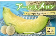 【先行予約】秋 アールスメロン 2玉（約1.6kg以上×2玉）青肉品種 高級メロン！ ／ マスクメロン 大玉 果物 フルーツ ギフト 農家直送 ※2025年9月中旬以降発送 [aw065-a009]