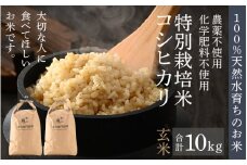 【先行予約】【令和7年産 新米】伊与衛門農園のコシヒカリ 玄米 10kg 特別栽培米 5kg×2袋 化学肥料不使用 ＜温度と湿度を常時管理し新鮮米を出荷！＞／ 高品質 鮮度抜群 福井県あわら産 ブランド米 お米 ※2025年9月下旬より順次発送予定 [aw071-b001]