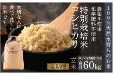 【先行予約】【令和7年産 新米】《定期便12回》伊与衛門農園のコシヒカリ 玄米 5kg（計60kg） 特別栽培米 化学肥料不使用  ＜温度と湿度を常時管理し新鮮米を出荷！＞／ 高品質 鮮度抜群 福井県あわら産 ブランド米 お米 ※2025年10月上旬より順次発送予定 [aw071-l001]
