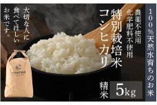 【先行予約】【令和7年産 新米】伊与衛門農園のコシヒカリ 精米 5kg 特別栽培米 化学肥料不使用  ＜温度と湿度を常時管理し新鮮米を出荷！＞／ 高品質 鮮度抜群 福井県あわら産 ブランド米 白米 お米 ※2025年9月下旬より順次発送予定 [aw071-a005]