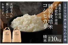 【先行予約】【令和7年産 新米】伊与衛門農園のコシヒカリ 精米 10kg 特別栽培米 5kg×2袋 化学肥料不使用 ＜温度と湿度を常時管理し新鮮米を出荷！＞／ 高品質 鮮度抜群 福井県あわら産 ブランド米 白米 お米 ※2025年9月下旬より順次発送予定 [aw071-b002]