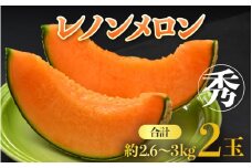 【先行予約】レノンメロン 3L 2玉入 約2.6～3kg《秀品》コク深い甘さ・香りいっぱいのメロン！農家直送 有機肥料 低農薬 赤肉 マスクメロン 高級メロン ※2026年6月中旬より順次発送 [aw069-a006]