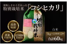 【先行予約】【令和7年産 新米】《定期便12回》コシヒカリ 精米 5kg （計60kg）特別栽培米 農薬不使用 化学肥料不使用 ／残留農薬ゼロ 高品質 鮮度抜群 福井県産 ブランド米 白米 ※2025年10月上旬より順次発送予定 [aw063-m001]