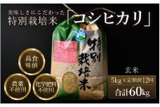 【先行予約】【令和7年産 新米】《定期便12回》コシヒカリ 玄米 5kg （計60kg）特別栽培米 農薬不使用 化学肥料不使用 ／ 残留農薬ゼロ 高品質 鮮度抜群 福井県産 ブランド米 玄米 ※2025年10月上旬より順次発送予定 [aw063-l003]