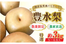 【先行予約】《数量限定》豊水梨 特選 5～6玉入 約3kg ※2025年9月上旬より順次発送予定 [aw042-a004]