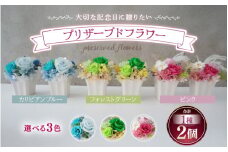 【グリーン】プリザーブドフラワー 2個セット ＜ペアで飾って＞ [aw047-c001_03]