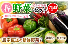 【先行予約】農家直送 春野菜セット 1箱 7品目以上 《元気に育った新鮮野菜！》 ※2026年4月下旬以降順次発送予定 [aw028-a008]