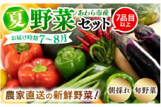 【先行予約】農家直送 夏野菜セット 1箱 7品目以上 《元気に育った新鮮野菜！》※2025年7月中旬以降発送 [aw028-a009]