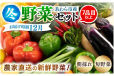 【先行予約】農家直送 冬野菜セット 1箱 7品目以上 《元気に育った新鮮野菜！》※2025年12月上旬以降発送 [aw028-a011]
