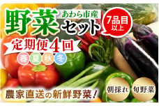 ＜定期便 4回＞ 新鮮野菜セット 1箱 7品目以上 【春 夏 秋 冬 発送】 [aw028-b001]