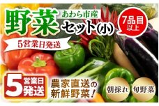 【5営業日発送！】農家直送 旬の野菜セット 7品目以上 1箱 [aw028-a012]