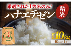 【先行予約】【令和7年産・新米】【一等米】ハナエチゼン 精米 10kg ×1袋《発送直前精米！》  ／ 福井県産 ブランド米 ご飯 白米 お米 コメ 新鮮 大賞 受賞 新米 【2025年9月上旬より順次発送予定】 [aw012-b012]