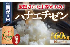 【先行予約】【令和7年産・新米】【一等米】＜定期便6回＞ ハナエチゼン 精米 10kg × 6回（60kg）《発送直前精米！》  ／ 福井県産 ブランド米 ご飯 白米 お米 コメ 新鮮 大賞 受賞 新米 福井県あわら産 【2025年9月上旬より順次発送予定】 [aw012-k006]