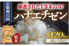 【先行予約】【令和7年産・新米】【一等米】 ＜定期便12回＞ ハナエチゼン 精米 10kg × 12回（120kg）《発送直前精米！》  ／ 福井県産 ブランド米 ご飯 白米 お米 コメ 新鮮 大賞 受賞 新米 【2025年9月上旬より順次発送予定】 [aw012-o004]