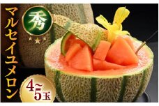 【先行予約】＜秀品＞ マルセイユメロン 約5kg 4～5玉入 / 果物 フルーツ 赤肉 メロン 農家直送 贈り物 ※2025年6月上旬以降発送 [aw074-a002]
