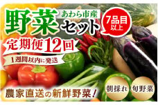 【12ヶ月連続お届け】農家直送 旬の野菜セット 7品目以上 1箱 / 定期便 12ヶ月 12回 [aw028-f002] 