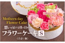 【季節限定商品】【先行予約】フラワーケーキＳ Mothers day Flower Gift 花ギフト 生花 ＜想いを届ける母の日ギフト＞※2025年5月6日～9日の間にお届け [aw062-a005]
