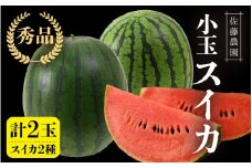 【先行予約】抜群の甘さ！佐藤農園の小玉スイカ 食べ比べセット 2玉（計3kg以上）／ 秀品 農家直送 有機肥料 低農薬 ※2026年6月上旬より順次発送予定 [aw069-a007]