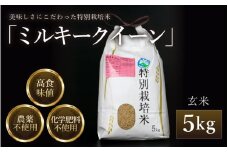 【先行予約】【令和7年産 新米】 ミルキークイーン 玄米 5kg 特別栽培米 農薬不使用 化学肥料不使用 ／ 高品質 鮮度抜群 福井県産 ブランド米 ※2025年10月上旬以降順次発送 [aw063-a001]