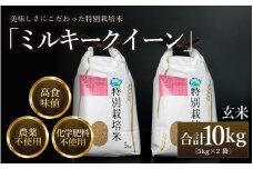 【先行予約】【令和7年産 新米】 ミルキークイーン 玄米 10kg （5kg×2袋） 特別栽培米 農薬不使用 化学肥料不使用 ／ 高品質 鮮度抜群 福井県産 ブランド米 ※2025年10月上旬以降順次発送 [aw063-b001]