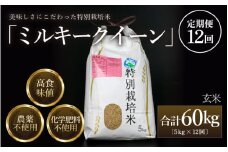【先行予約】【令和7年産 新米】《定期便12回》 特別栽培米 ミルキークイーン 玄米  5kg （計60kg） 農薬不使用 化学肥料不使用 ／ 高品質 鮮度抜群 福井県産 ブランド米 あわら産 ブランド米 ※2025年10月上旬以降順次発送 [aw063-l001]