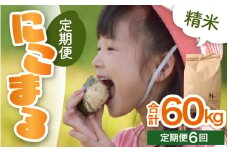 【先行予約】【令和6年産 新米】《定期便6回》精米 にこまる 5kg×2袋 10kg（計60kg）＜食味値85点以上！低農薬栽培＞ ／ 高品質 鮮度抜群 福井県 あわら市産 ブランド米 白米 お米 米《出荷直前精米でお届け！》 ※2024年10月中旬以降発送予定 [aw066-h001]
