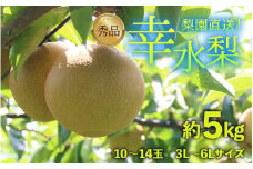 【先行予約】上野梨園の幸水梨 10～14玉入 約5kg  3L～6L【秀品】《数量限定》梨園直送！ / 期間限定 果物 フルーツ 農家直送 シャキシャキ もぎたて 旬 お取り寄せ ※2025年8月下旬より順次発送 [aw077-a001]