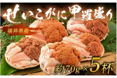【年内発送】福井県産！せいこがに甲羅盛り 約70g×5杯（350g）／【受付12月15日まで！】 期間限定 冷凍 蟹 カニ 解禁 便利 身出し 小分け ビール おつまみ 越前がに メス 福井県産 お取り寄せ 松葉ガニ ポーション 送料無料  [aw072-f001]