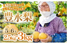 【先行予約】しづちゃんが作る豊水梨 5～6玉入（2.5～3kg）農業歴70年以上！ ※2024年9月上旬より順次お届け [aw075-a002]