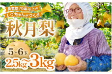 【先行予約】しづちゃんが作る秋月梨 5～6玉入（2.5～3kg） 農業歴70年以上！※2024年9月中旬より順次お届け [aw075-a003]