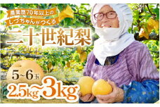 【先行予約】しづちゃんが作る二十世紀梨 5～6玉入（2.5～3kg） 農業歴70年以上！※2024年9月中旬より順次お届け [aw075-a004]