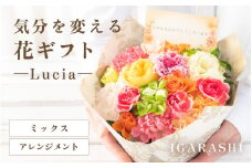 気分を変える花ギフト -Lucia- (アレンジメント・ミックス) [aw062-a002_01]