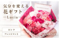 気分を変える花ギフト -Lucia- (アレンジメント・ピンク) [aw062-a002_03]
