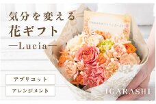 気分を変える花ギフト -Lucia- (アレンジメント・アプリコット) [aw062-a002_05]