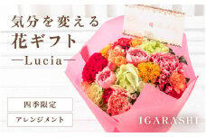 気分を変える花ギフト -Lucia- (アレンジメント・四季限定アイテム) [aw062-a002_09]