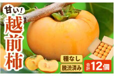 【先行予約】【種なし】 甘い！越前柿12個入り 脱渋済み 本場柿原郷で収穫 ※2025年10月上旬以降順次発送予定 [aw082-a001]