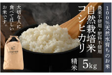 【先行予約】【令和7年産 新米】伊与衛門農園の自然栽培コシヒカリ精米 5kg  【福井県認証米】伊与衛門農園の特別栽培米＜温度と湿度を常時管理し新鮮米を出荷！＞ / 米 白米 自然の力 高品質 鮮度抜群 ブランド米 福井県 あわら市産 スマート農業 ※2025年10月中旬より順次発送予定 [aw071-a007]