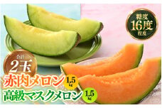 【先行予約】青肉アールスナイト 赤肉パリスメロン 秀品 各1玉（1.5kg以上×2玉）【アールス系メロン】《糖度16度程度！1株1果採りで育てる高級メロン！》／ 果物 フルーツ 農家直送 青肉 赤肉 セット マスクメロン アールスメロン ギフト 贈答用 ※2026年7月上旬より順次発送予定 [aw028-a013]
