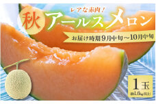 【先行予約】【赤肉】秋 アールスメロン 1玉（約1.6kg以上） 高級メロン！ ／ マスクメロン 大玉 果物 フルーツ 夏 ギフト 農家直送 ※2025年9月中旬以降発送 [aw065-a010]