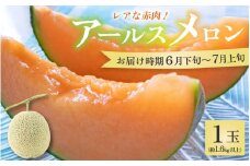 【先行予約】【赤肉】アールスメロン 1玉（約1.6kg以上）赤肉品種 高級メロン！ ／ マスクメロン 大玉 果物 フルーツ 夏 ギフト 農家直送 ※2026年6月下旬以降順次発送予定 [aw065-a003]