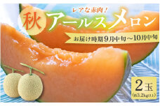 【先行予約】【赤肉】秋 アールスメロン 2玉（計約3.2kg以上）赤肉品種 高級メロン！ ／ マスクメロン 大玉 果物 フルーツ 夏 ギフト 農家直送  ※2025年9月中旬以降発送 [aw065-a011]