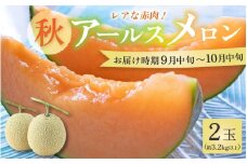 【先行予約】【赤肉】秋 アールスメロン 2玉（計約3.2kg以上）赤肉品種 高級メロン！ ／ マスクメロン 大玉 果物 フルーツ 夏 ギフト 農家直送  ※2025年9月中旬以降発送 [aw065-a011]