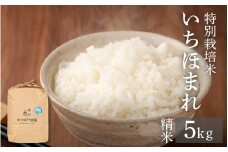 【令和6年産】伊与衛門農園の特別栽培米いちほまれ 精米 5kg 農家直送 《福井県初！》／ 農薬不使用 高品質 鮮度抜群 福井県 あわら市熊坂産 ブランド米 白米 ＜出荷直前精米でお届け！＞ [aw071-a003]