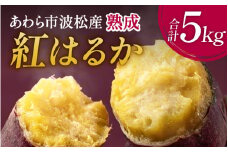 【先行予約】あわら市波松産 紅はるか 5kg / 厳選 不揃い さつまいも 土付き 熟成 焼き芋 福井県 薩摩芋 密芋 スイートポテト しっとり ほっくり 自然のスイーツ 極甘 農研機構許諾済 メディアで人気 腸活 ※2025年10月上旬より順次発送 [aw084-a002]