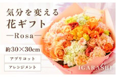 気分を変える花ギフト-Rosa-(アレンジメント・アプリコット) [aw062-c002_05]