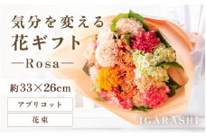 気分を変える花ギフト-Rosa-(花束・アプリコット) [aw062-c002_06]