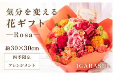 気分を変える花ギフト-Rosa-(アレンジメント・四季限定アイテム) [aw062-c002_09]