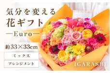 気分を変える花ギフト Euro(アレンジメント・ミックス) [aw062-c003_01]